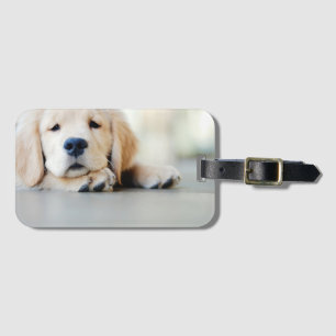 Schlampe, Golden Retriever Welpe Gepäckanhänger