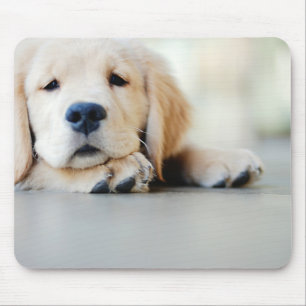 Schlampe, Golden Retriever Welpe Mousepad