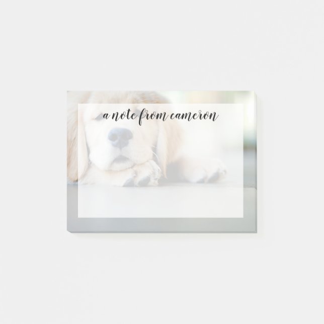 Schlampe, Golden Retriever Welpe Post-it Klebezettel (Vorderseite)