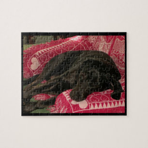 Schlampe-Hundepuzzle Puzzle