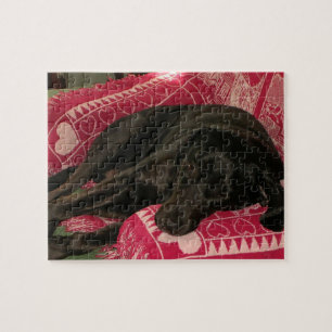 Schlampe-Hundepuzzle Puzzle