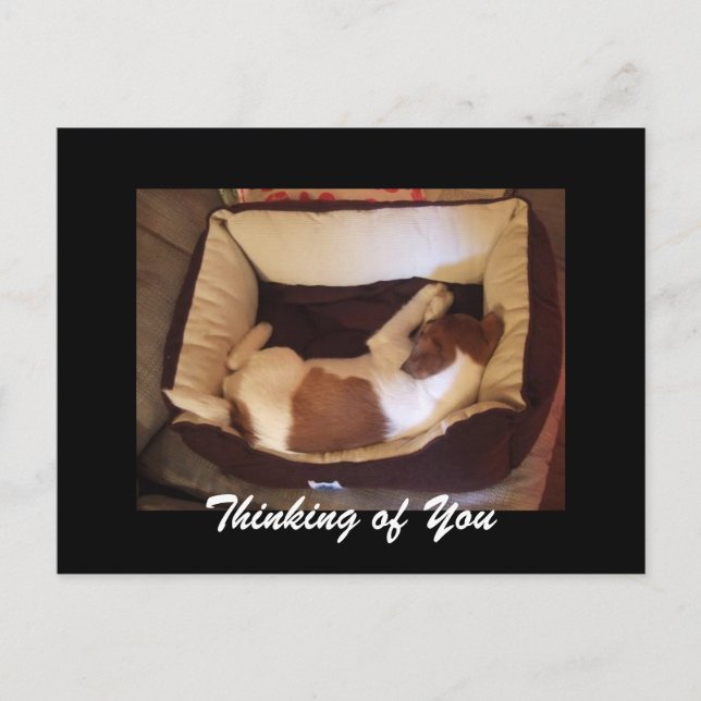 Schlampe Welpe - Denken Sie an Sie Postkarte (Vorderseite)