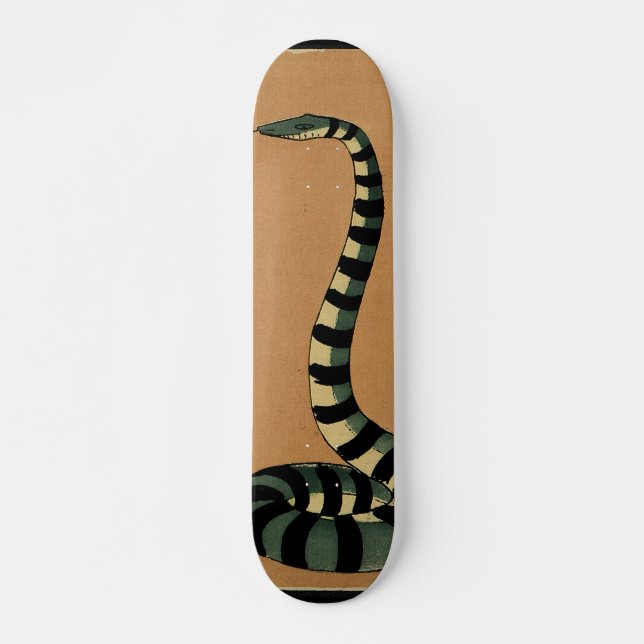 Schlange - Antike, farbenfrohe BuchIllustration Skateboard (Vorne)