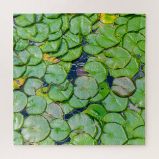 Schlange auf den Lily Pads Puzzle