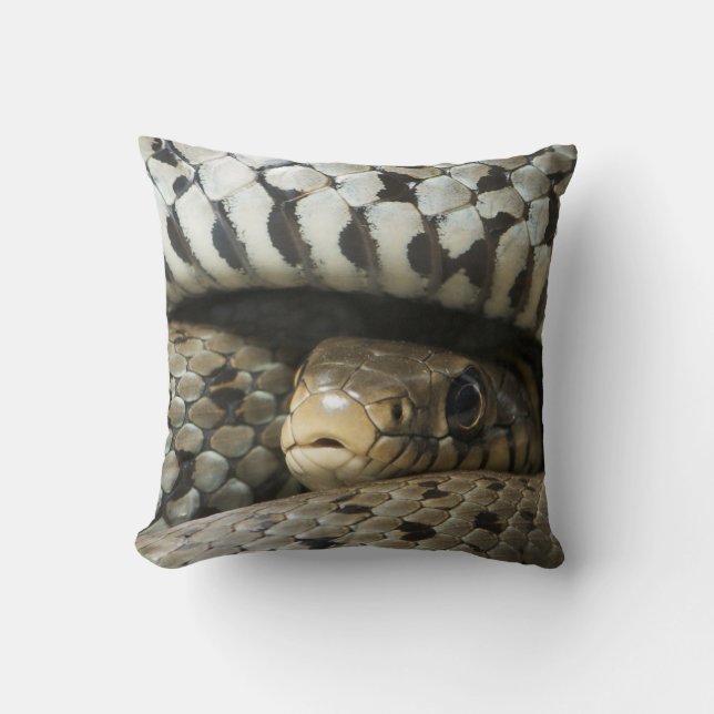 Schlange Kissen (Vorderseite)