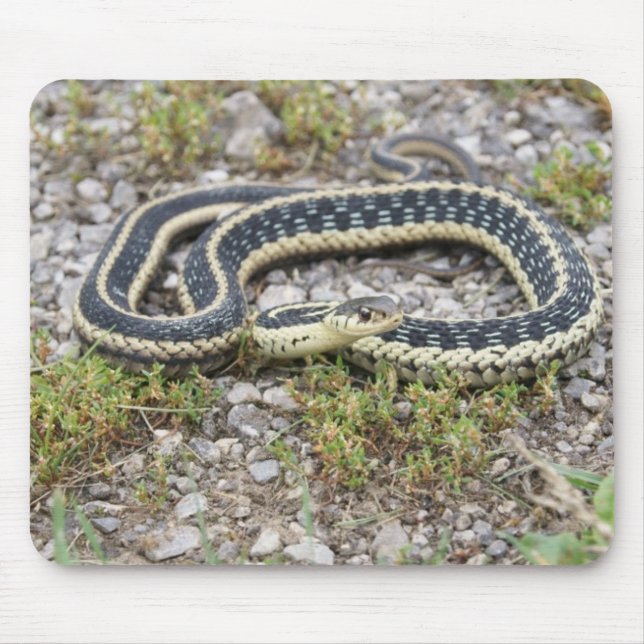 Schlange Mousepad (Vorne)