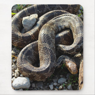 Schlange Mousepad