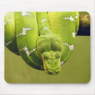 Schlange Mousepad