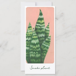 Schlange Pflanze Gouache Illustrationskarte
