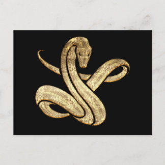 Schlange Postkarte