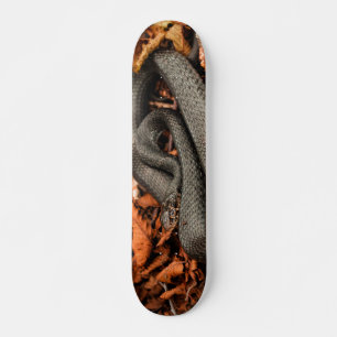 Schlange Skateboard