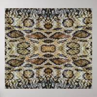 Schlange Skin Muster Textur