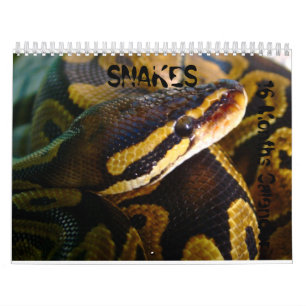 Schlangen 16 Monate Kalender