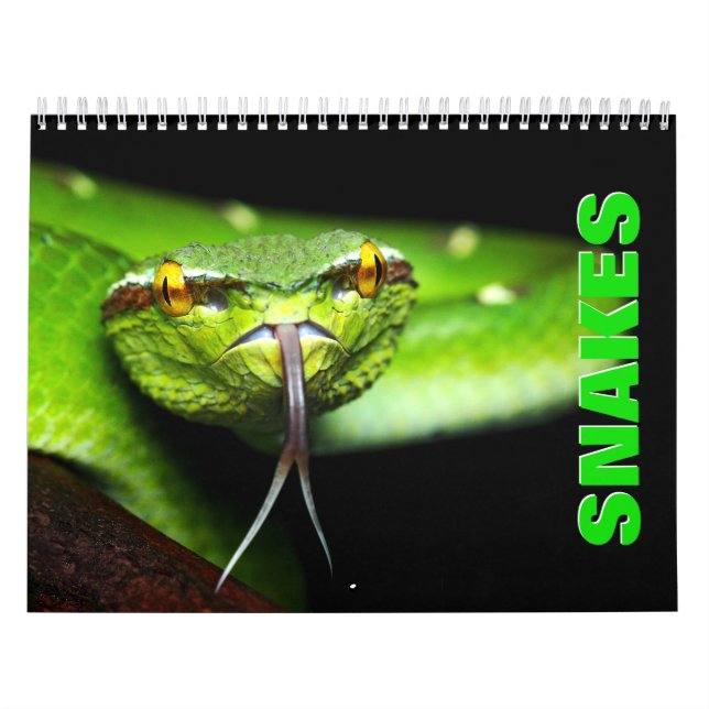 Schlangen [1] Mauerkalender Kalender (Titelbild)