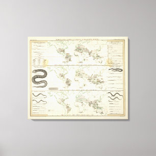 Schlangen-Verteilungen Leinwanddruck