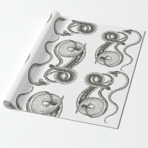 Schlangengeschenkverpackungspapier Geschenkpapier