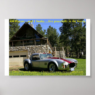 SchlangeNGrass Poster