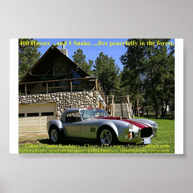 SchlangeNGrass Poster (Vorne)