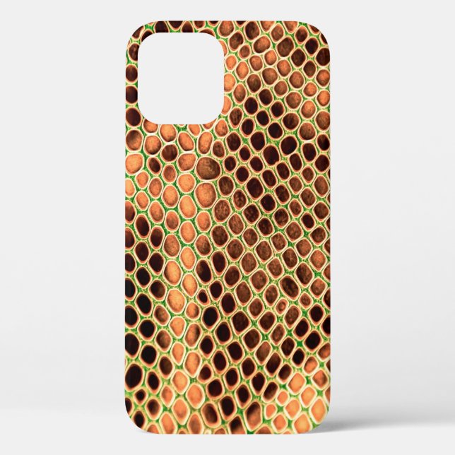 Schlangenhaut Case-Mate iPhone Hülle (Rückseite)