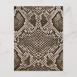 Schlangenhaut Postkarte