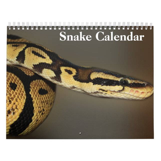 Schlangenkalender 2025 kalender (Titelbild)