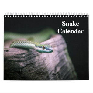Schlangenkalender 2026 kalender