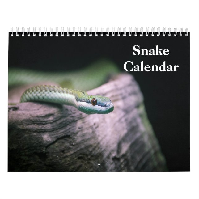 Schlangenkalender 2026 kalender (Titelbild)