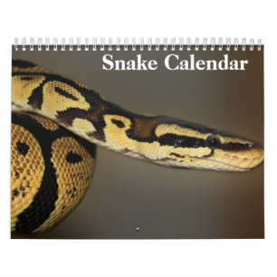 Schlangenkalender 2027 kalender