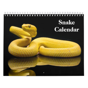 Schlangenkalender 2027 kalender