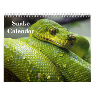 Schlangenkalender 2027 kalender