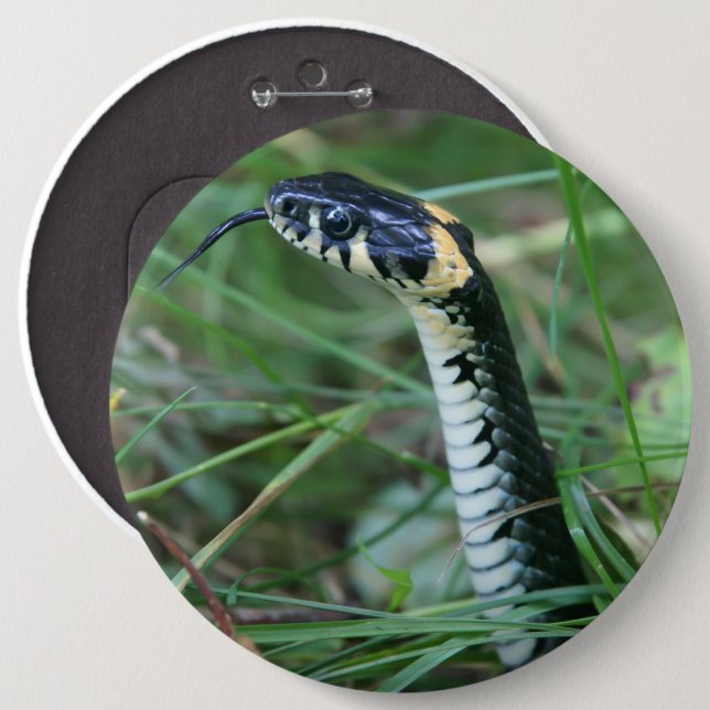 Schlangenkopf Button (Vorne & Hinten)