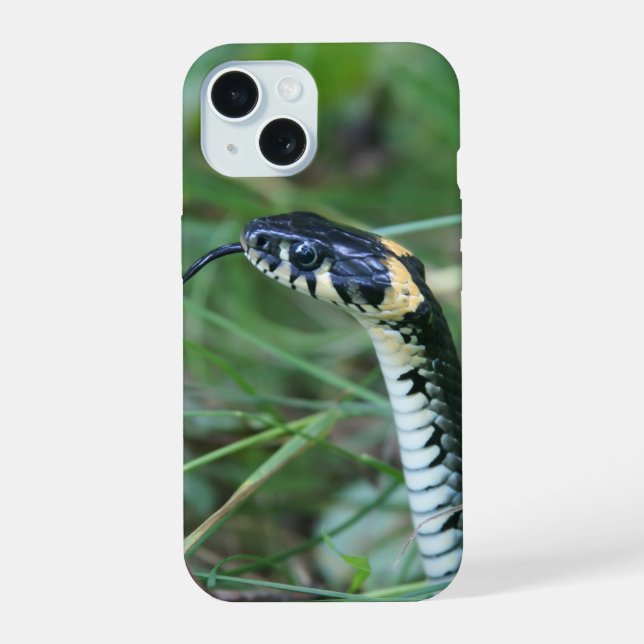 Schlangenkopf iPhone 15 Hülle (Rückseite)