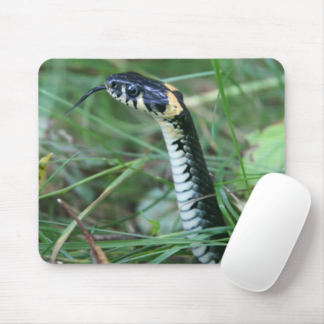 Schlangenkopf Mousepad (Mit Mouse)