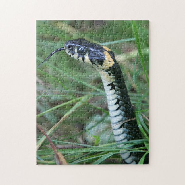 Schlangenkopf Puzzle (Vertikal)