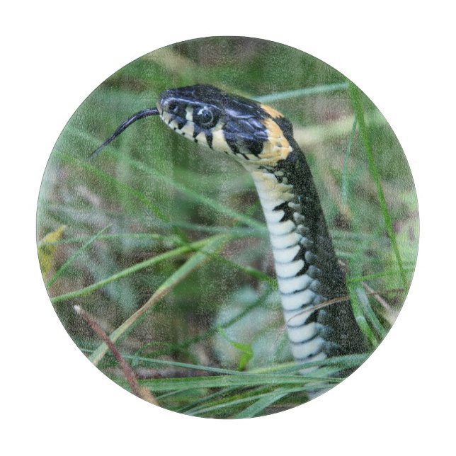 Schlangenkopf Schneidebrett (Vorderseite)