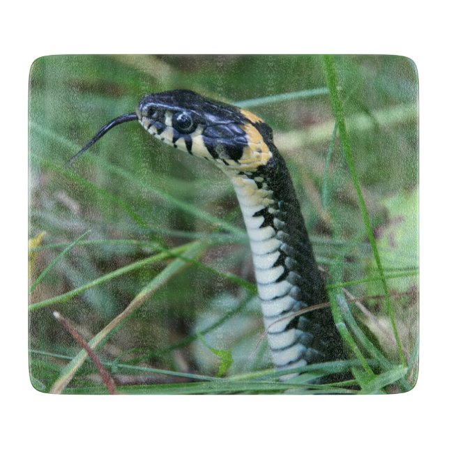 Schlangenkopf Schneidebrett (Vorderseite)