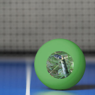 Schlangenkopf Tischtennisball