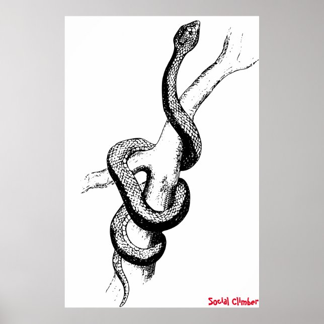 Schlangenposter Poster (Vorne)