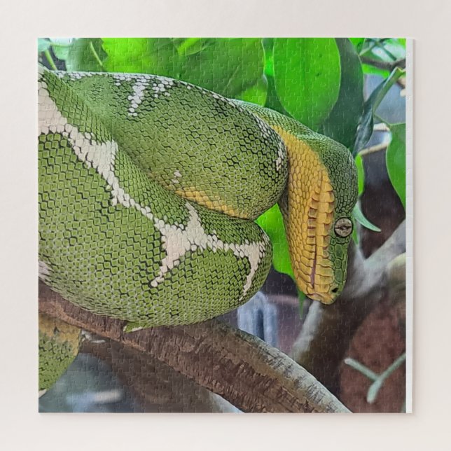 Schlangenpuzzle Puzzle (Vertikal)