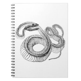 Schlangenskelett Notizbuch Notizblock