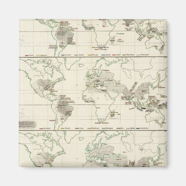 Schlangenverteilungen Magnet (Vorne)