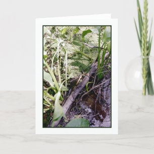 Schlangenwaschkarte Karte