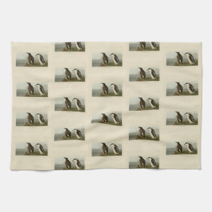 Schlanker Guillemot, Audubon Birds of America Geschirrtuch