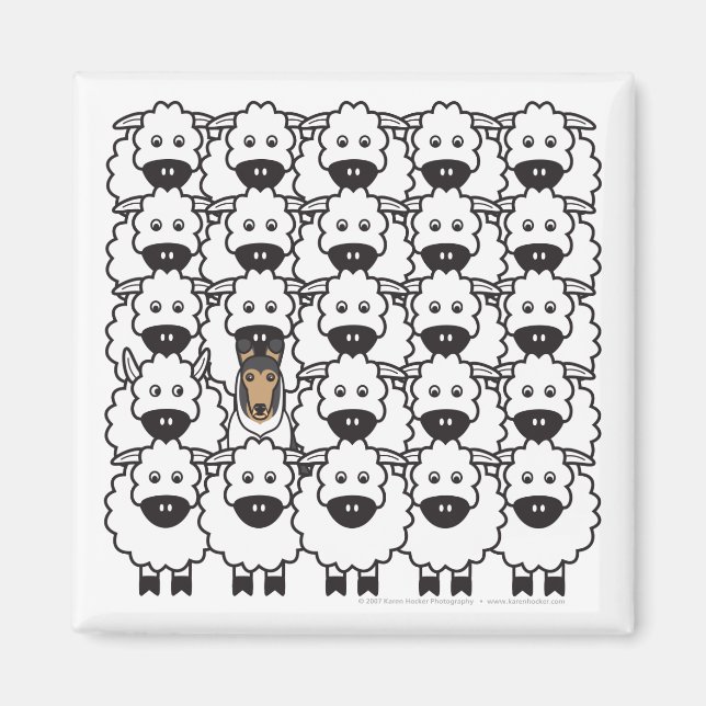 Schlaue Collie im Schafe Magnet (Vorne)