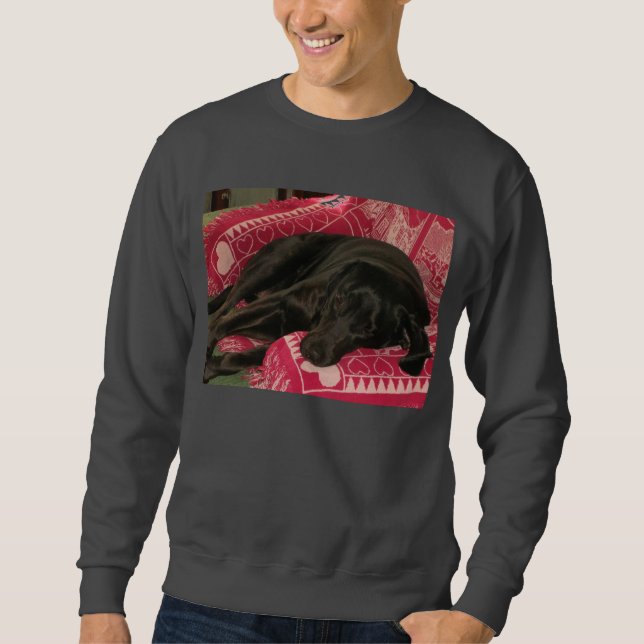 Schlaue Hundeshirt Sweatshirt (Vorderseite)