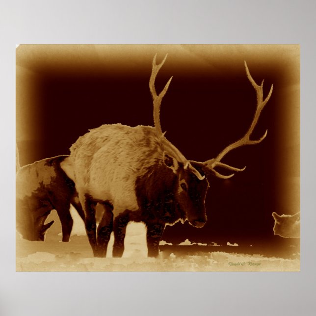 schlecht 2 poster (Vorne)