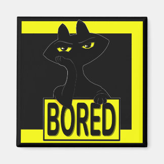 Schlechte Boogie Schwarze Katze Magnet Lustig Sar