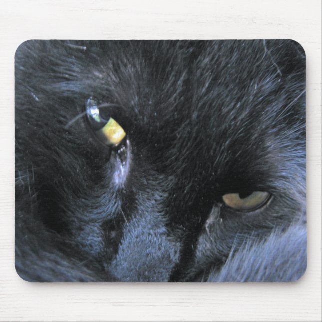 Schlechte Katze Mousepad (Vorne)