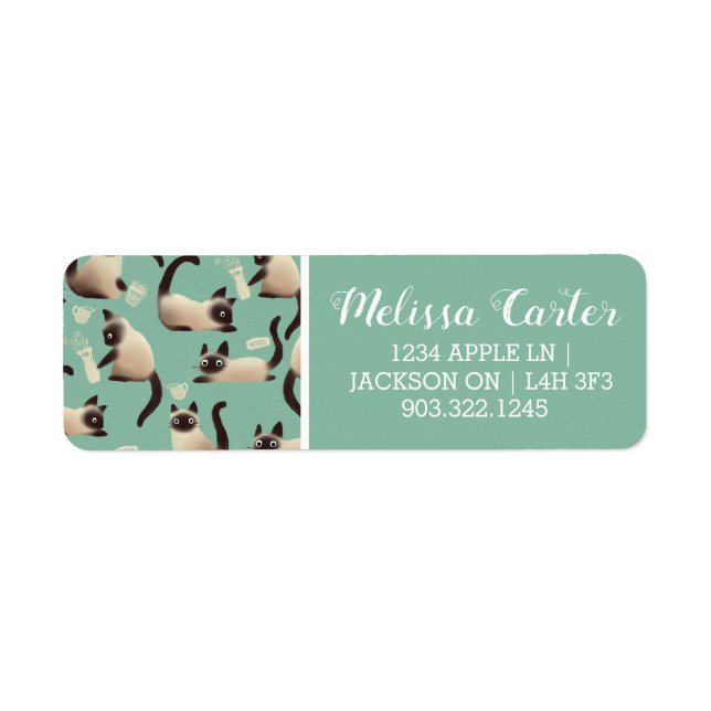 Schlechte siamesische Katzen klopfen über (Vorne)