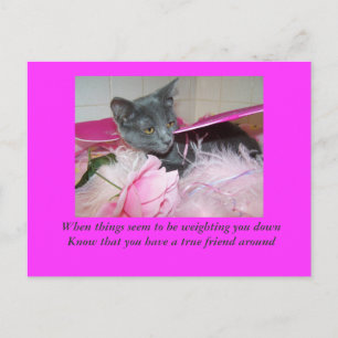 schlechte Tageskarte. Postkarte